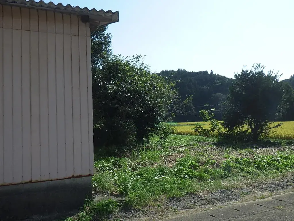 Slide 4