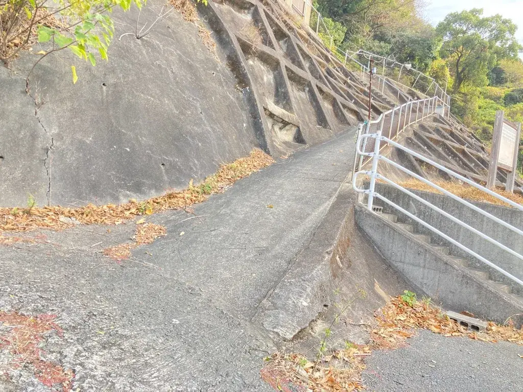 Slide 3
