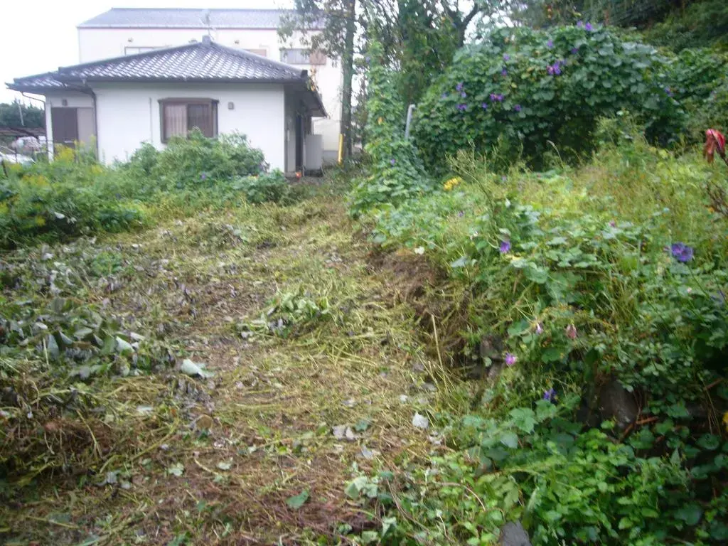 Slide 4