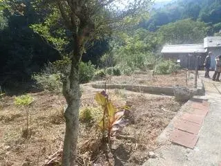 Slide 36