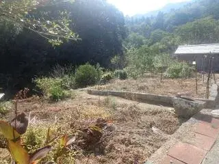 Slide 37