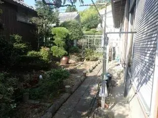 Slide 8