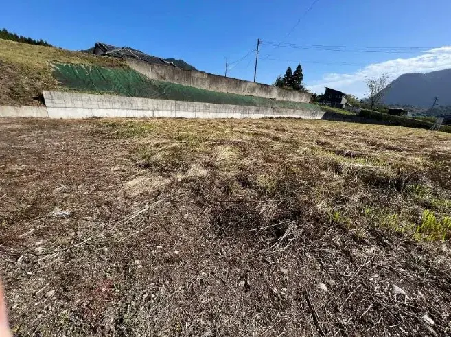 Slide 0