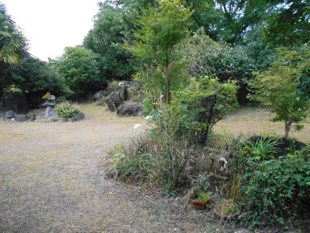 Slide 8