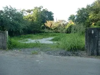 Slide 0