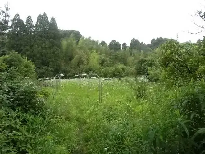 Slide 8