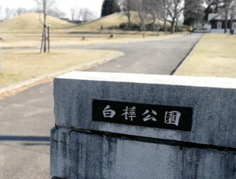 Slide 24