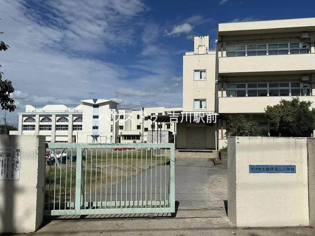 Slide 5