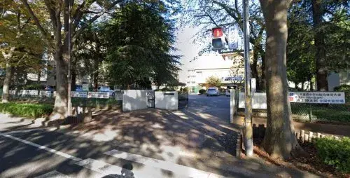 Slide 7