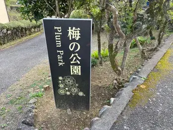 Slide 25