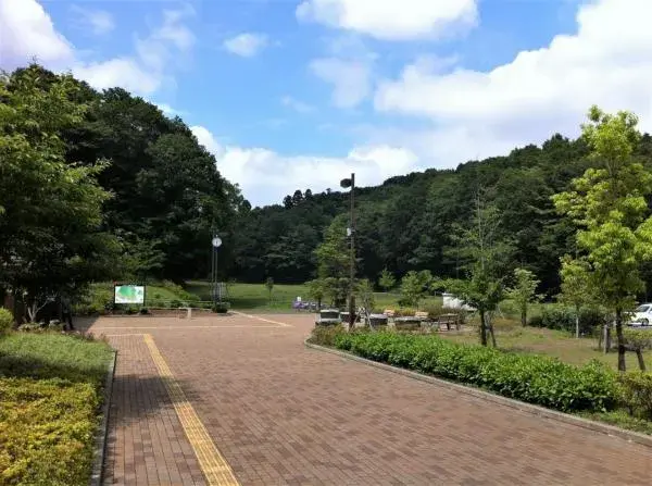 Slide 13