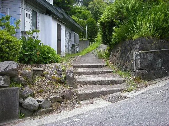 Slide 4