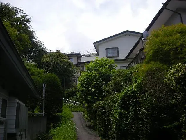 Slide 5