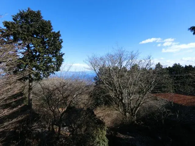 Slide 5