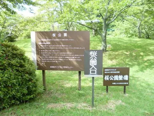 Slide 9