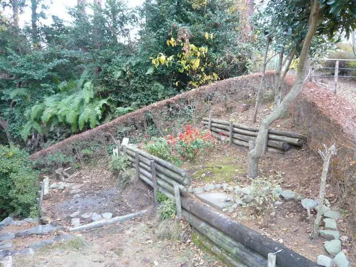 Slide 8