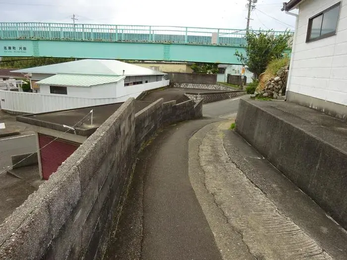 Slide 5