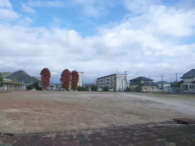 Slide 8