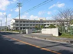 Slide 17