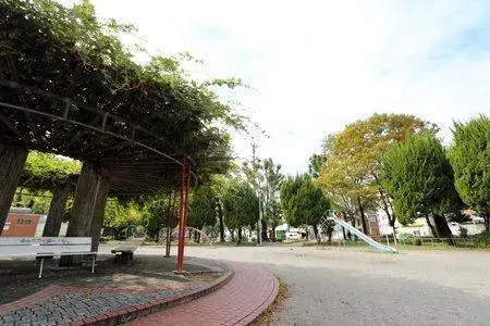 Slide 7