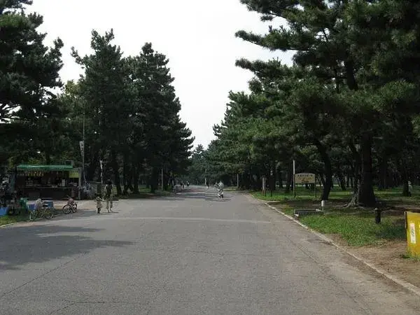 Slide 24