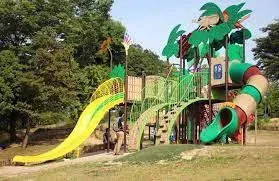 Slide 6
