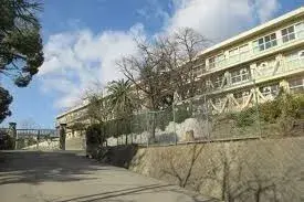 Slide 17
