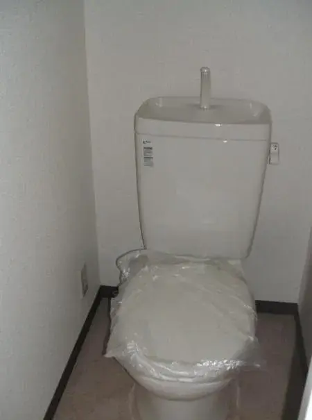 Slide 5