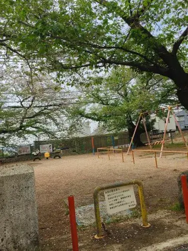 Slide 8