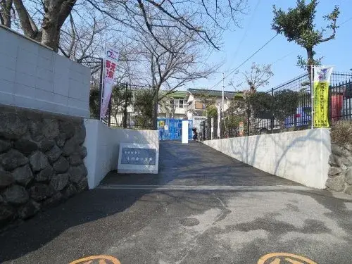 Slide 0
