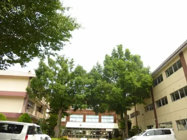 Slide 21