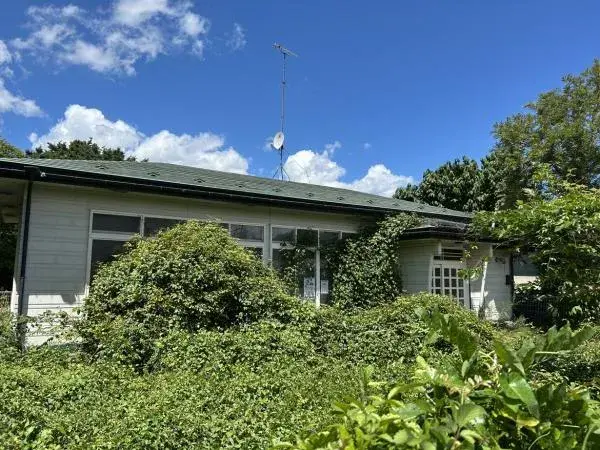 Slide 3