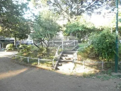 Slide 8