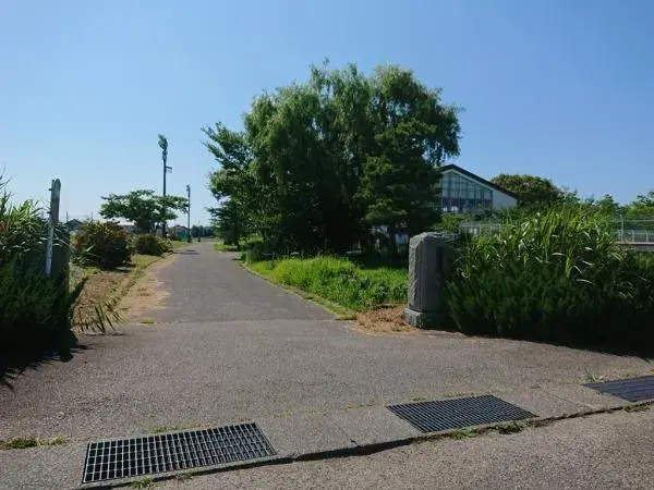 Slide 24