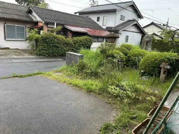 Slide 1