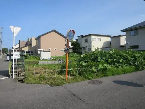 Slide 0