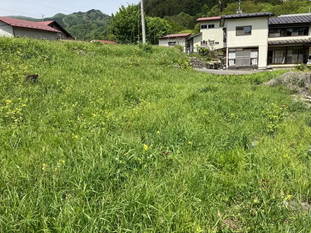 Slide 4