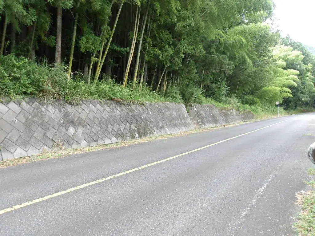Slide 3