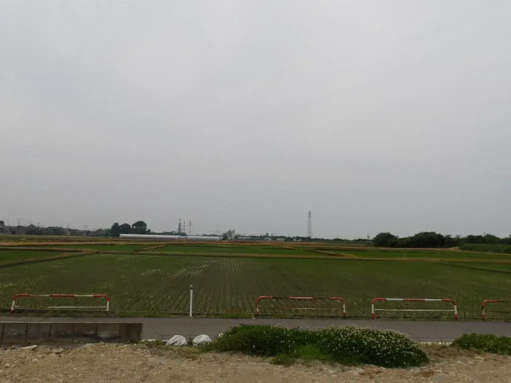 Slide 3