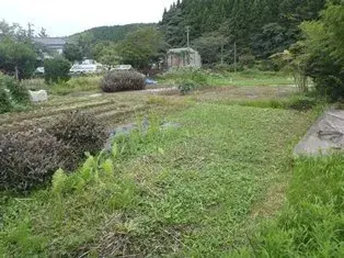 Slide 0