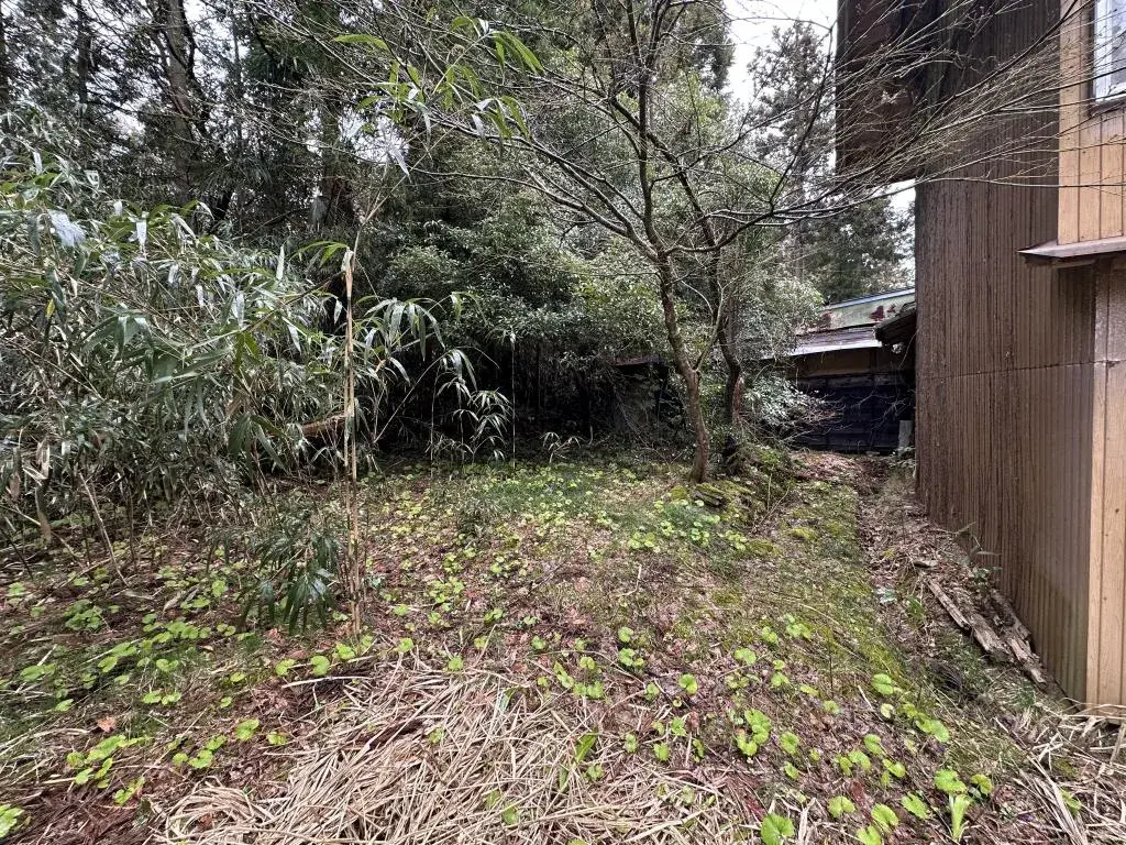 Slide 4