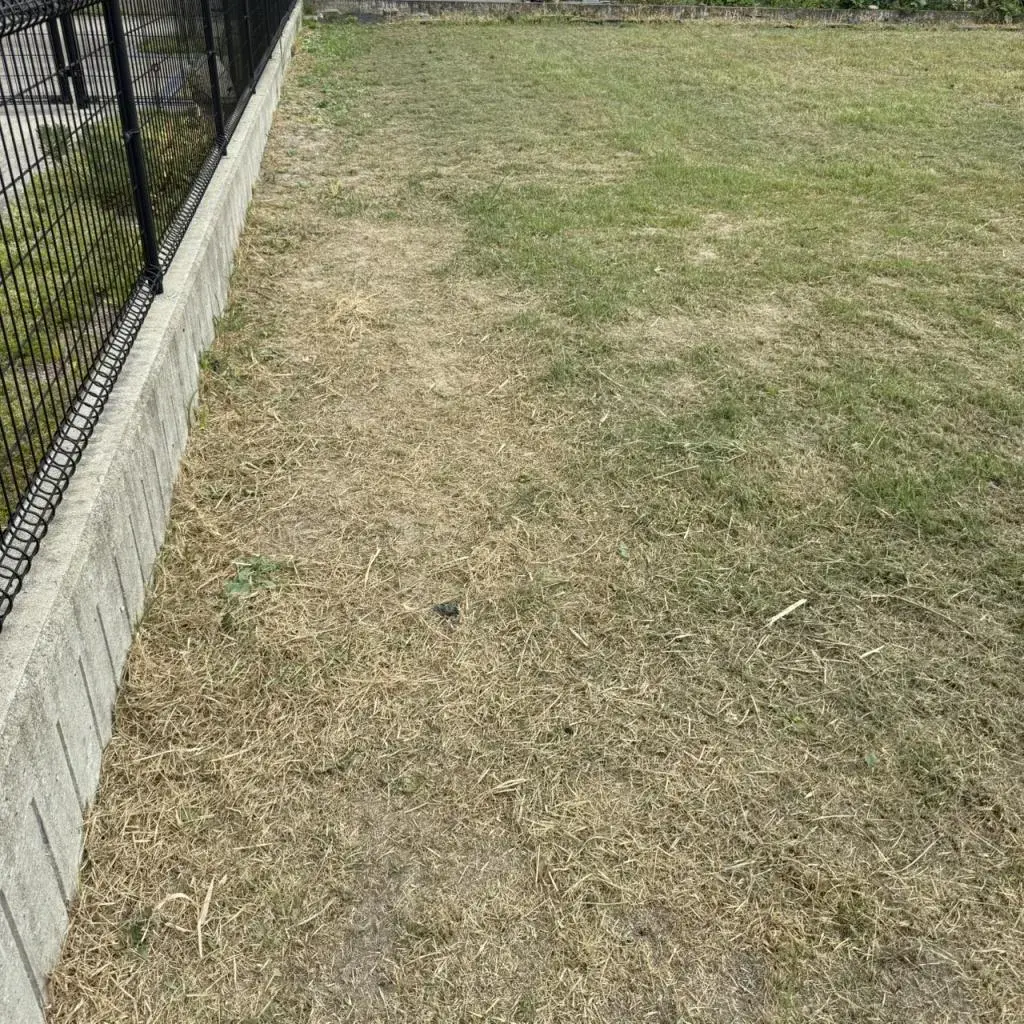 Slide 2