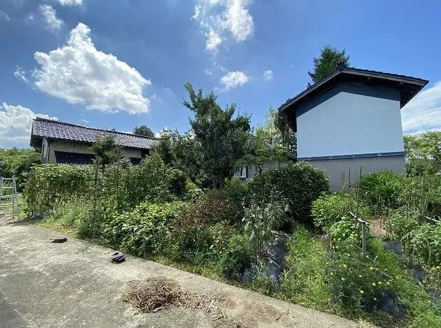Slide 5