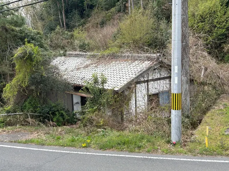Slide 0