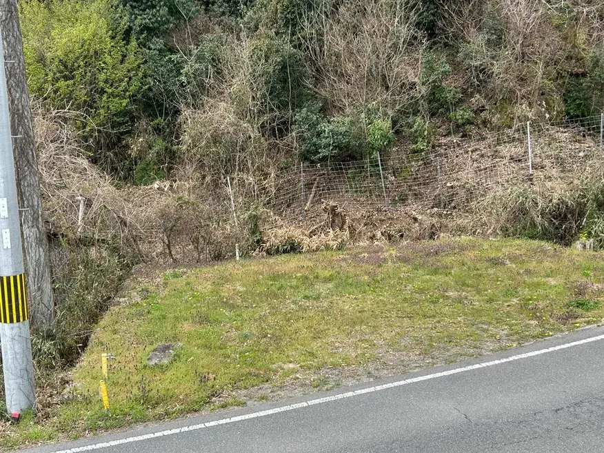 Slide 6