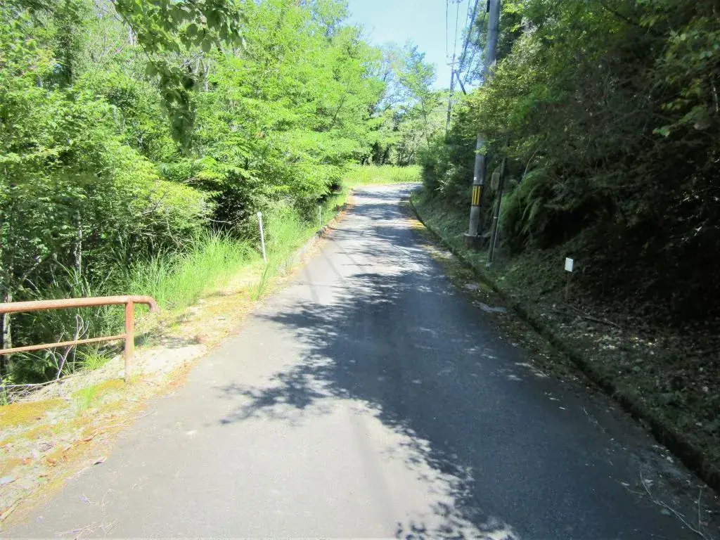 Slide 11