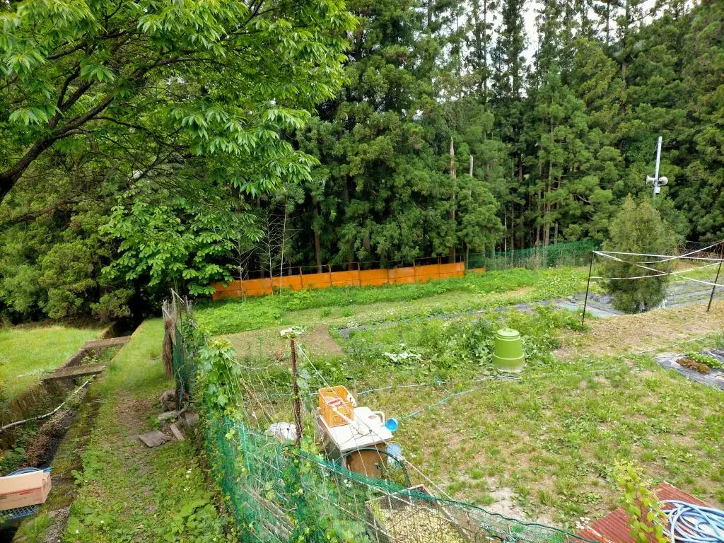 Slide 6