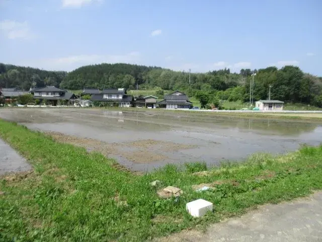 Slide 11