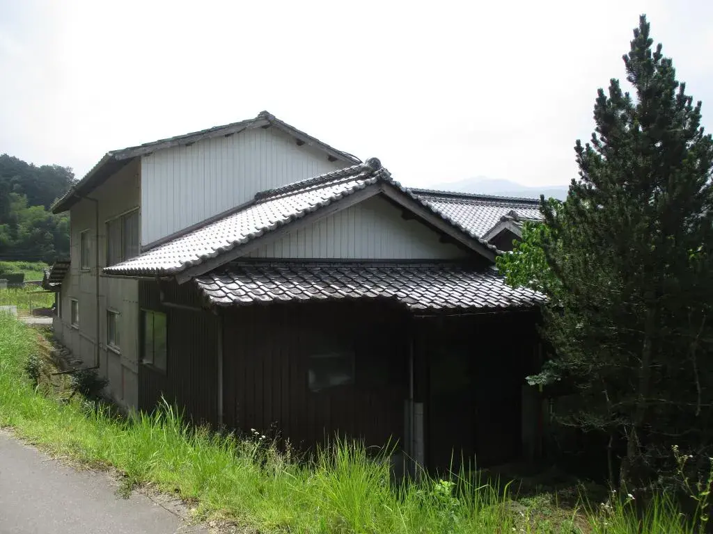 Slide 3