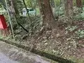 Slide 0